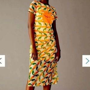 NWT Anthropologie Farm Rio Printed Mesh Sun Toucan Dress. Size 2X.